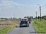 Zandlemig Vlaanderen